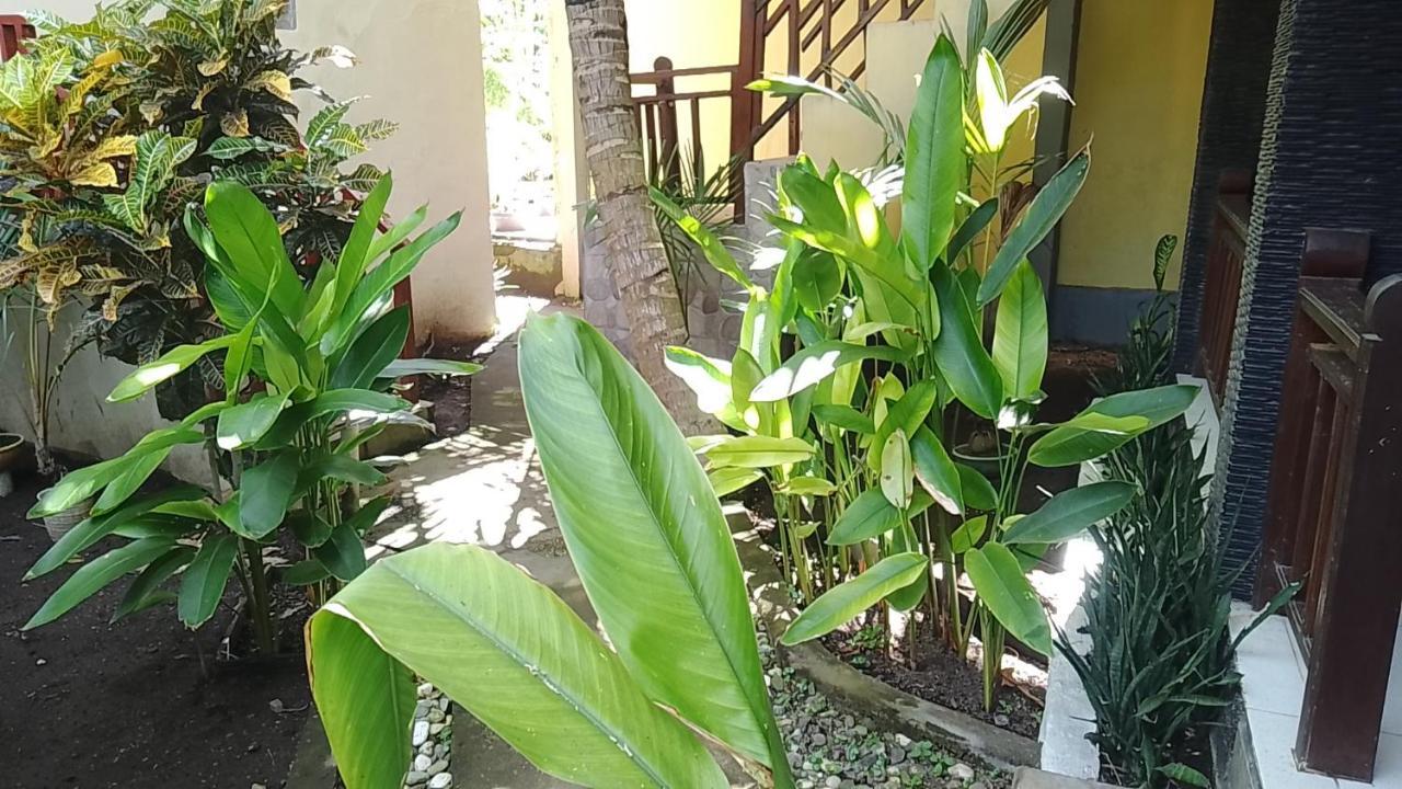 Mangga Homestay Gili Air Exteriör bild